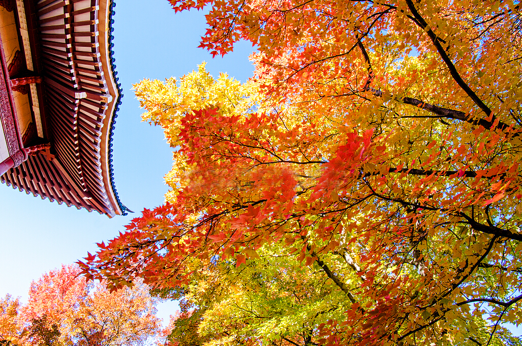 文艺唯美的简约微信相册封面图