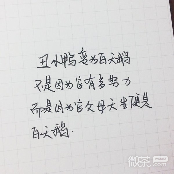 心灵毒鸡汤，来喝了吧微信背景图