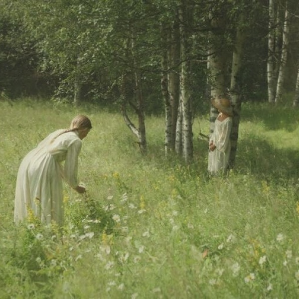 治愈系绿色护眼的微信聊天背景图