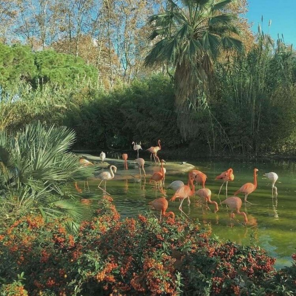 治愈系绿色护眼的微信聊天背景图