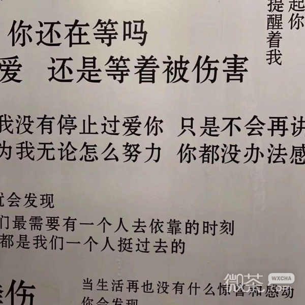 微信相册封面图