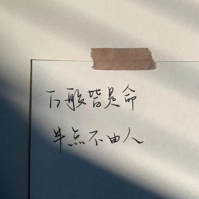 微信近期斗图恶搞表情2020/8/26