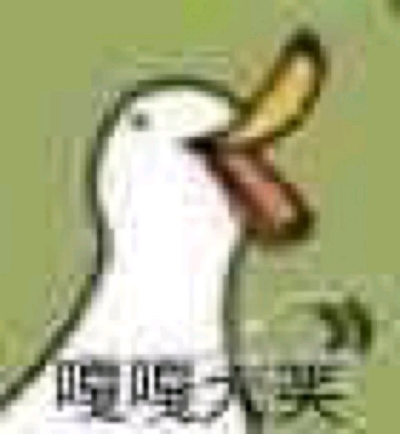 微信近期斗图恶搞表情2020/8/26