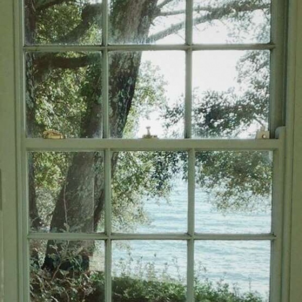 治愈系绿色护眼的微信聊天背景图