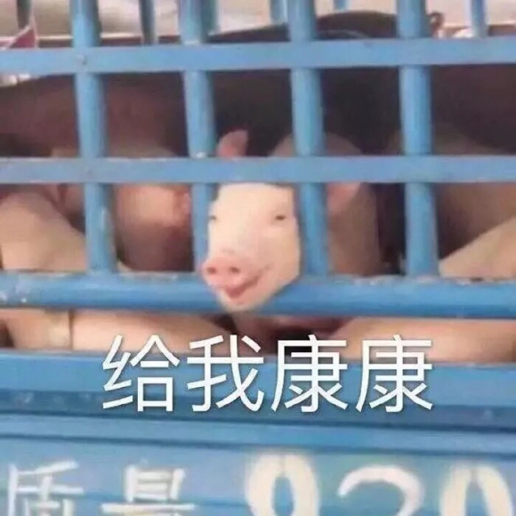 给我看看微信聊天表情包