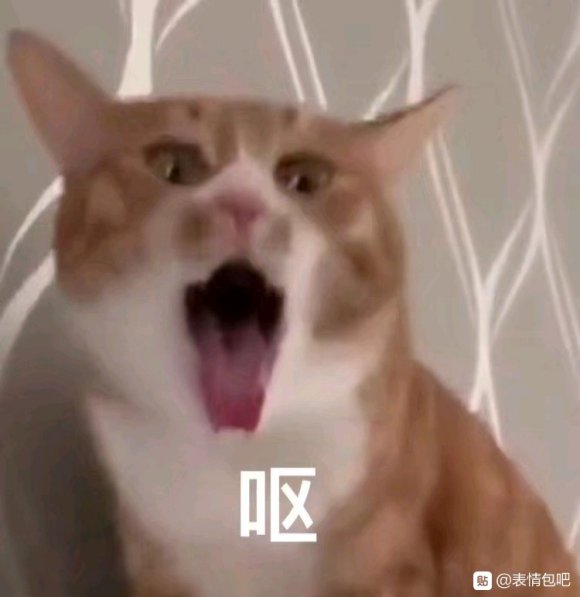 微信近期斗图恶搞表情2020/8/27(二)