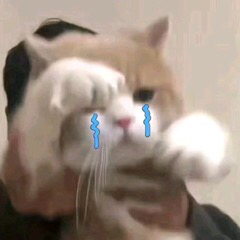 给我看看微信聊天表情包