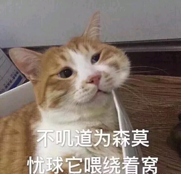 微信近期斗图恶搞表情2020/8/27(二)