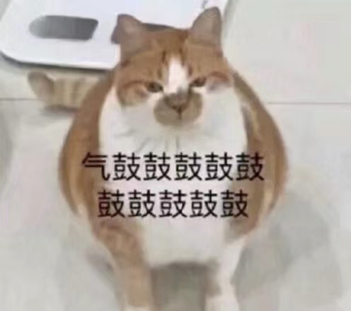 给我看看微信聊天表情包