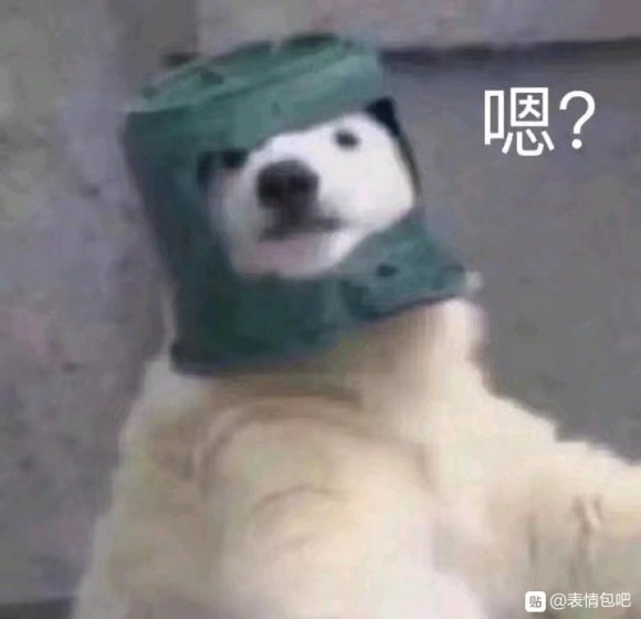 微信近期斗图恶搞表情2020/8/27