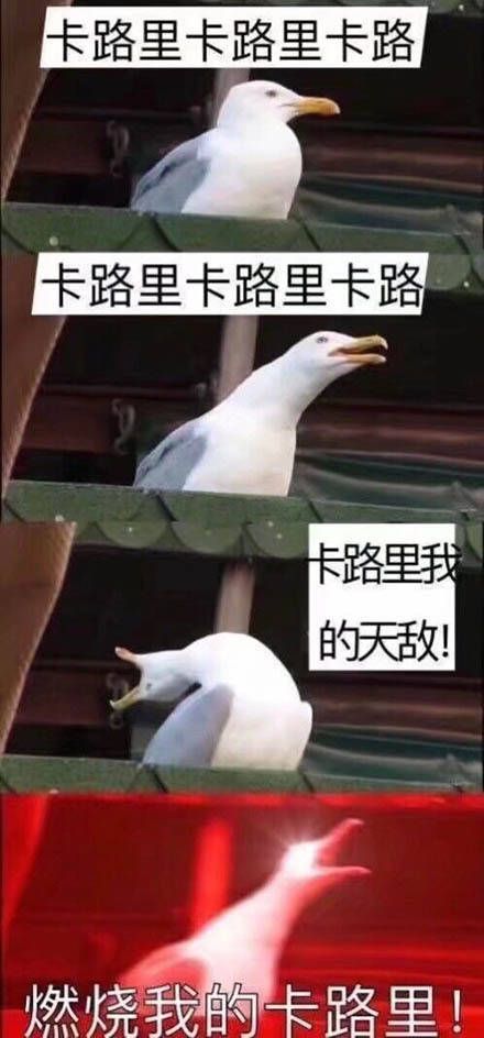 关于鸽子的搞笑微信表情包