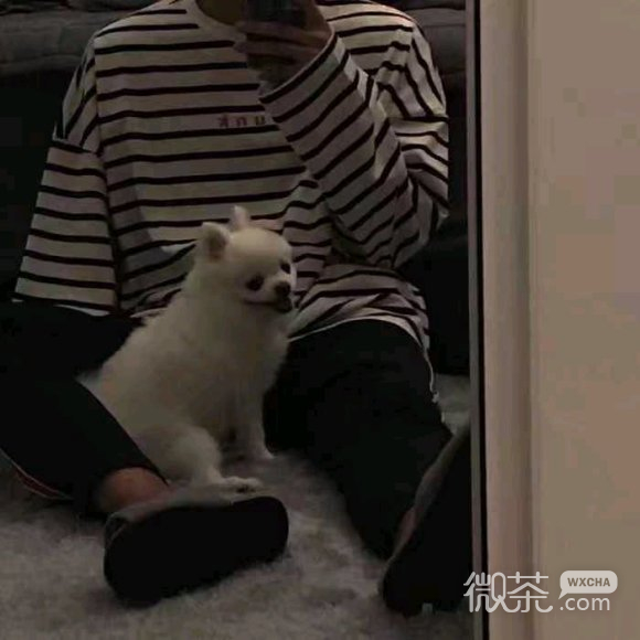 最潮帅气冷酷微信男生头像