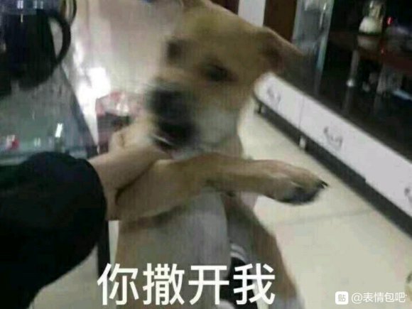 微信近期斗图恶搞表情2020/8/27