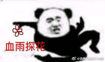 给我看看微信聊天表情包