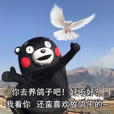关于鸽子的搞笑微信表情包