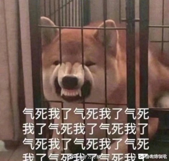 微信近期斗图恶搞表情2020/8/27(二)