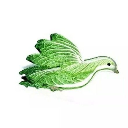 关于鸽子的搞笑微信表情包