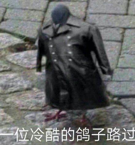 关于鸽子的搞笑微信表情包