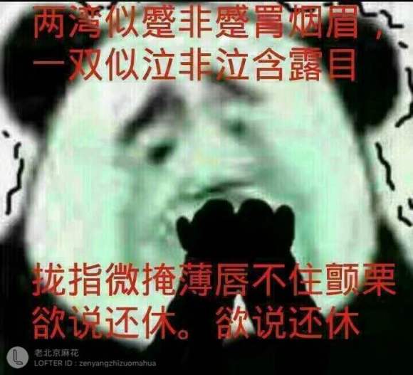 给我看看微信聊天表情包