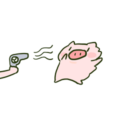 抖音可爱跳跳猪微信表情包