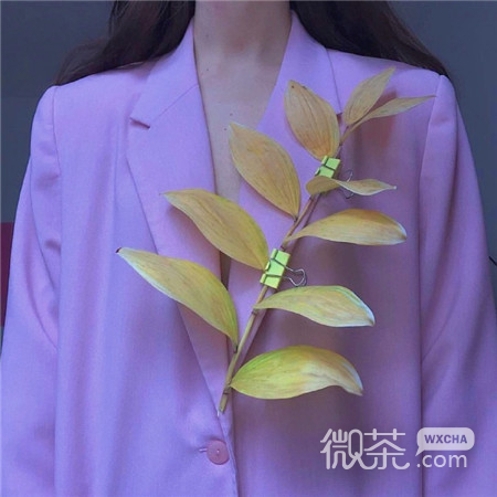 紫色系唯美风景微信聊天背景