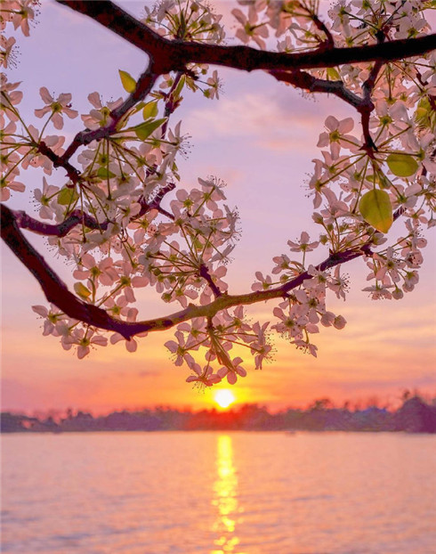 日落黄昏唯美朋友圈背景图