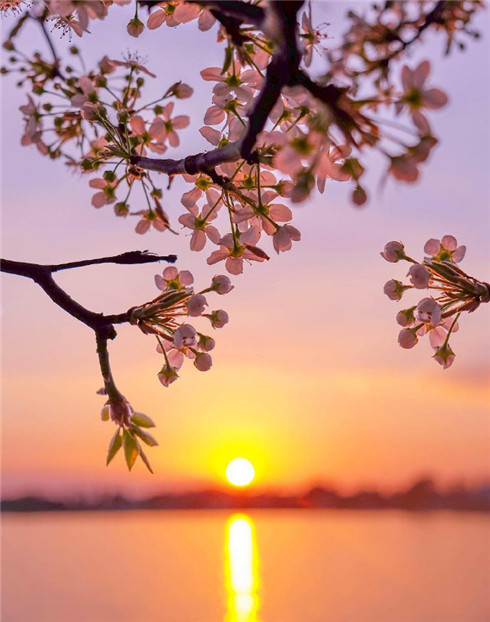 日落黄昏唯美朋友圈背景图