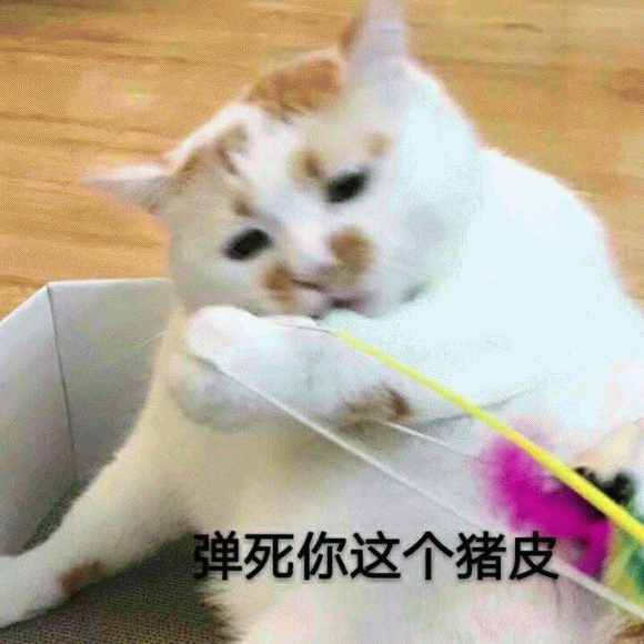 聊天微信表情包