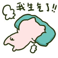 抖音可爱跳跳猪微信表情包