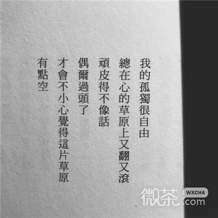 文字图片伤感微信朋友圈背景