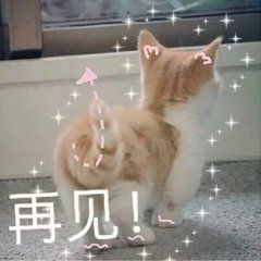 猫咪带字可爱搞笑微信表情包