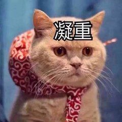 猫咪带字可爱搞笑微信表情包