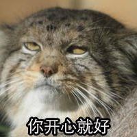 猫咪带字可爱搞笑微信表情包