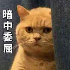 猫咪带字可爱搞笑微信表情包