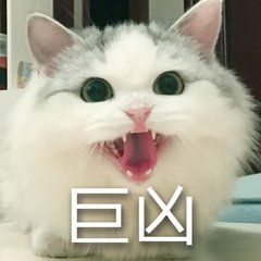 猫咪带字可爱搞笑微信表情包