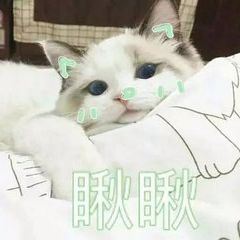 猫咪带字可爱搞笑微信表情包