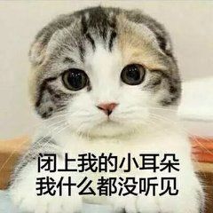 猫咪带字可爱搞笑微信表情包