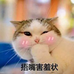 猫咪带字可爱搞笑微信表情包