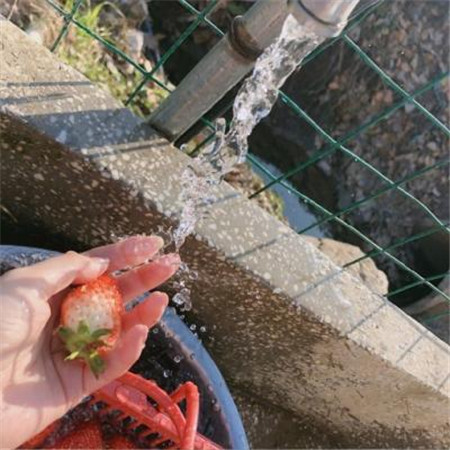 小清新风景女生微信聊天背景图片