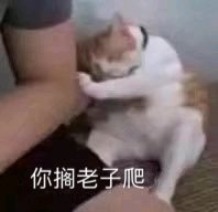 微信近期斗图恶搞表情2020/9/1（二）