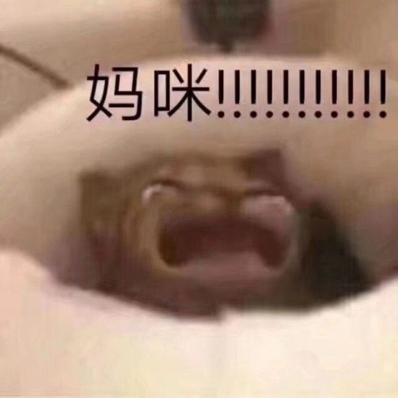 微信近期斗图恶搞表情2020/9/1