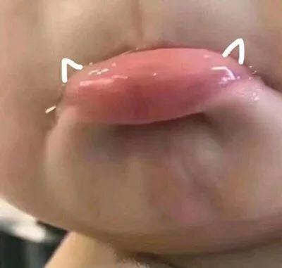 不屑微信聊天斗图表情包