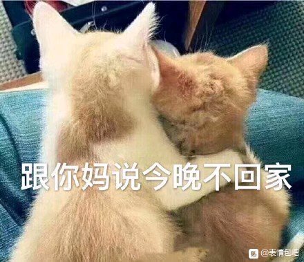 微信近期斗图恶搞表情2020/9/1（二）