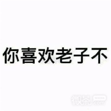 朋友圈背景图搞笑图片