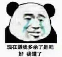 绝了熊猫头微信搞怪斗图表情包