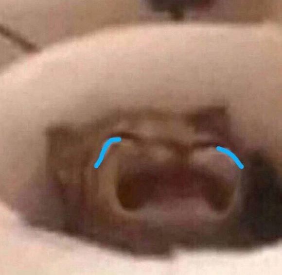 不屑微信聊天斗图表情包