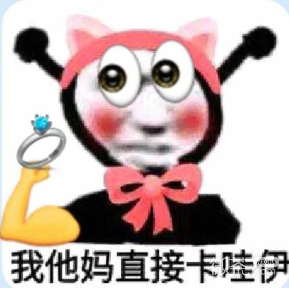绝了熊猫头微信搞怪斗图表情包