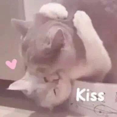 微信近期斗图恶搞表情2020/9/1