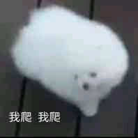 微信近期斗图恶搞表情2020/9/1（二）