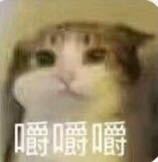 绝了熊猫头微信搞怪斗图表情包
